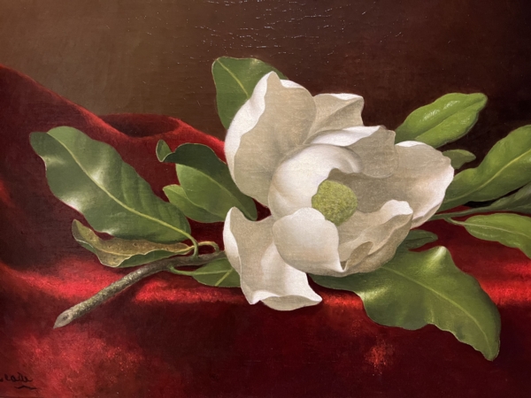 Martin Johnson Heade — Magnolia on red velvet, the type of overlooked masterpiece that sold for $409,000